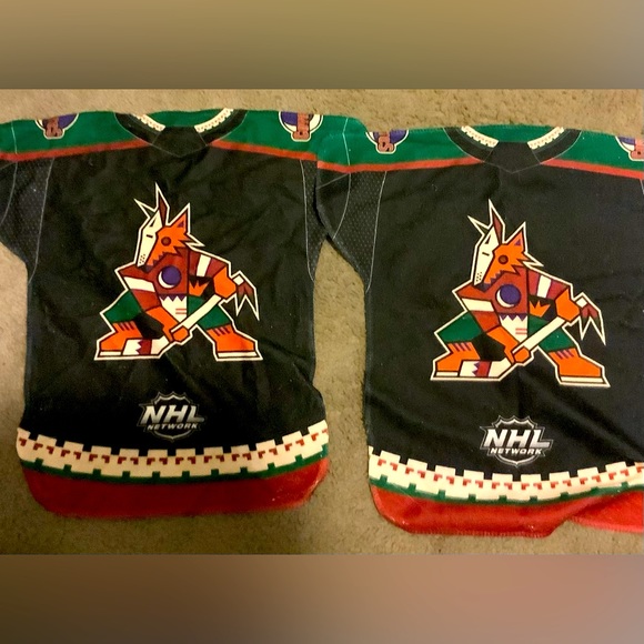 Arizona Coyotes Ultimate Fan Package ! Clear Stadium Bag, Water Bottle, Look 👀 - Picture 2 of 5